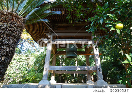 寶生寺 30050587