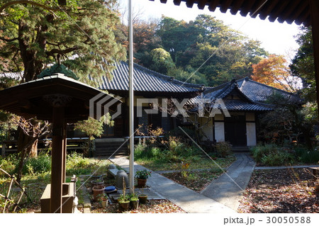 寶生寺 30050588