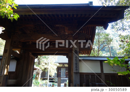 寶生寺 30050589
