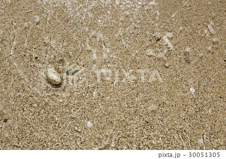 Puerto Rico, Coco Beach, Sand with stones and shells Puerto Rico, Coco Beach, Sand with stones and shells 30051305