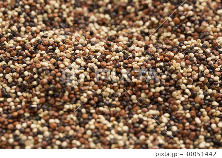 Close-up of quinoa 30051442