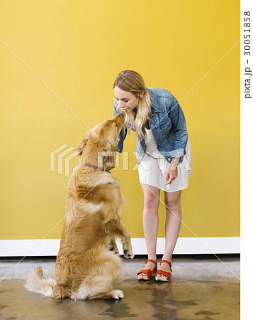 Young woman playing with golden retriever Young woman playing with golden retriever 30051858