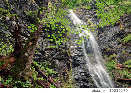 Ukraine, Zakarpattia, Rakhiv district, Carpathians, Scenic view of waterfall 30052170