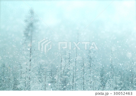 Winter forest blurred background snow landscape 30052463