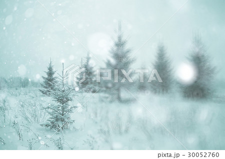 Winter forest blurred background snow landscape Winter forest blurred background snow landscape 30052760