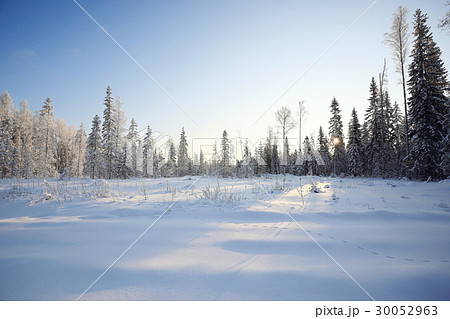 winter landscape footprints in the snow winter landscape footprints in the snow 30052963
