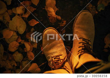 Walking along the path in the leaves 30056358