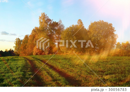 Field with road and trees Field with road and trees 30056783