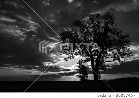 Beautiful sunset on the lake shore Beautiful sunset on the lake shore 30057457