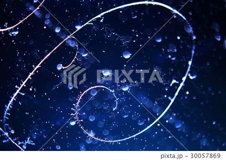 Hoarfrost and beautiful snow patterns 30057869