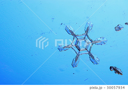 Snowflakes on a blue background 30057934