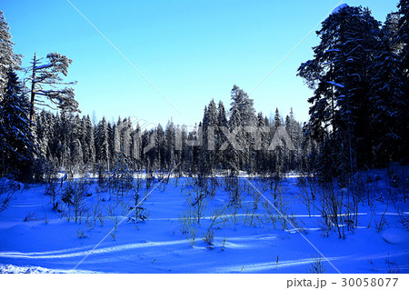 The road through the winter forest The road through the winter forest 30058077