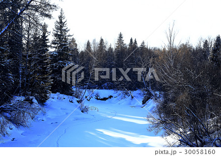 The road through the winter forest 30058160
