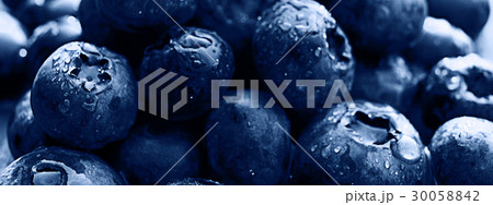 background berries blueberries panorama 30058842