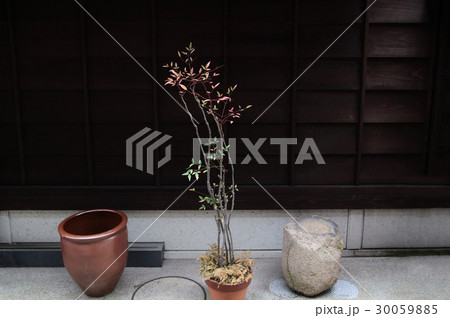 金沢・ひがし茶屋街 町屋の入り口玄関 金沢・ひがし茶屋街 町屋の入り口玄関 30059885