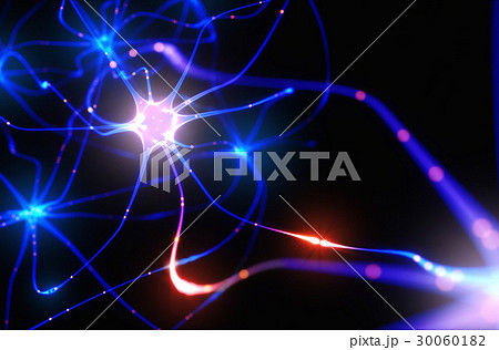 Neurons Electrical Pulses 30060182