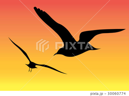 Silhouette of an animal Silhouette of an animal 30060774