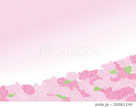 アジサイ 背景 イラスト 空のイラスト素材