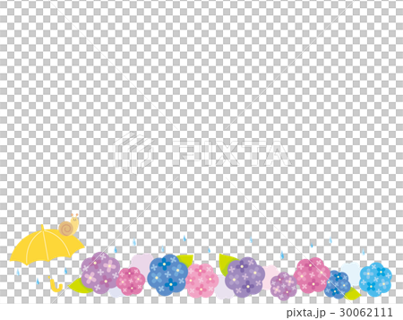 アジサイ 30062111