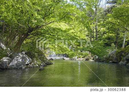 渓流 30062388