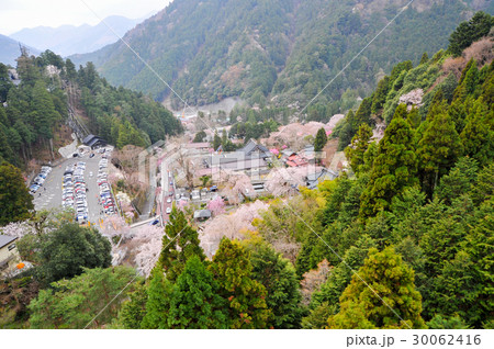 身延山久遠寺 30062416