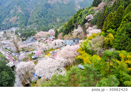 身延山久遠寺 30062420