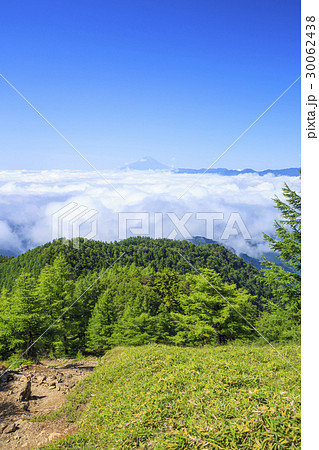雲取山の小雲取山から望む雲海の富士山　東京都奥多摩町　山梨県丹波山村 30062438