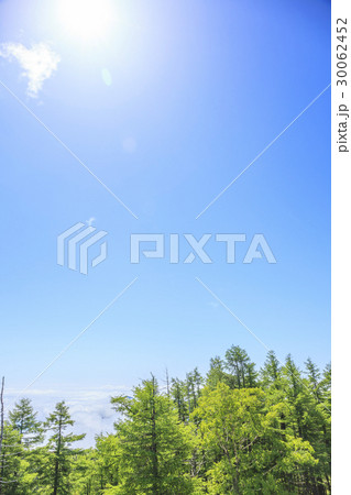 夏山の太陽　雲取山山頂にて　東京都奥多摩町　山梨県丹波山村　埼玉県秩父市 30062452