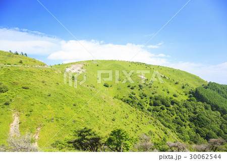 夏の鉢伏山　長野県松本市　岡谷市 30062544