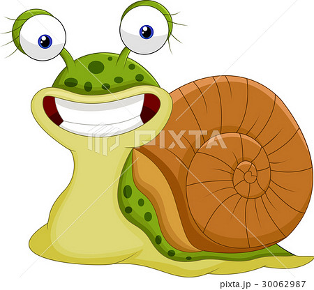 Cute snail cartoon 30062987