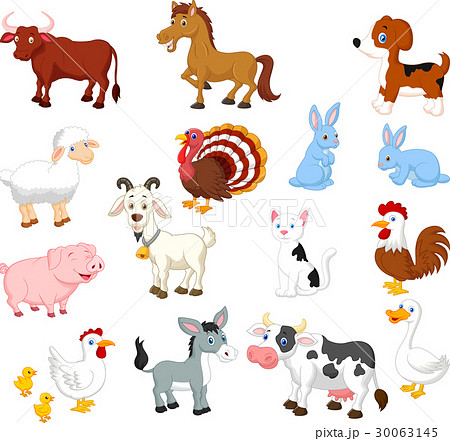 Farm animal collection set 30063145