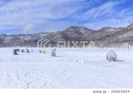 冬の赤城山の氷結した大沼でワカサギ釣り風景　群馬県前橋市 30063604