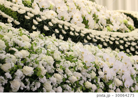 白の花祭壇 30064275