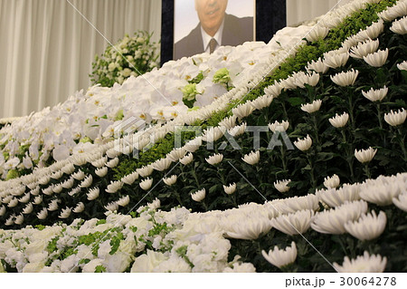 胡蝶蘭いっぱいの花祭壇 胡蝶蘭いっぱいの花祭壇 30064278