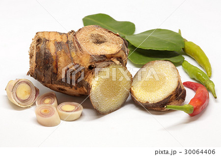 ginger with spices on white 30064406