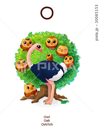 English Alphabet (Amusing Animals) letter O 1/26 30065153