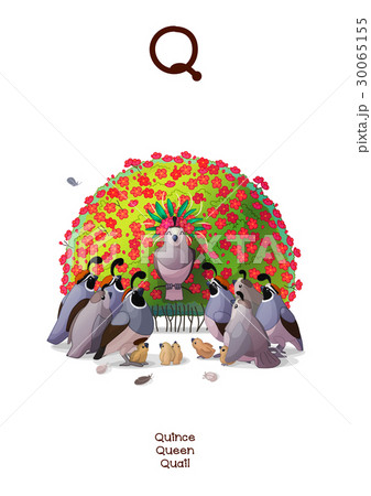 English Alphabet (Amusing Animals) letter Q 1/26 30065155