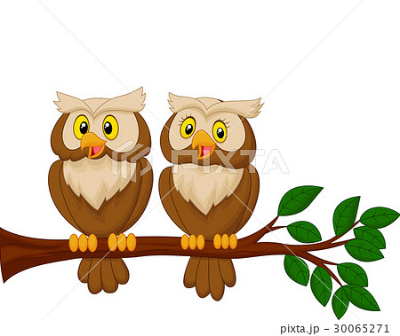 Cute owl couple cartoon 30065271