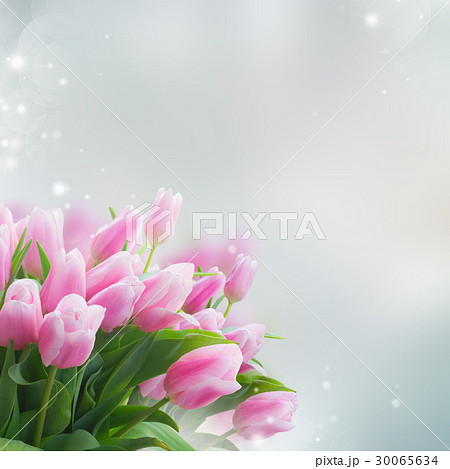 bouquet of yellow, purple and red tulips 30065634