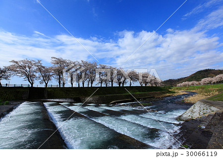 春の魚道 春の魚道 30066119