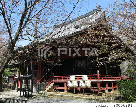 桜川市の雨引観音(本堂) 桜川市の雨引観音(本堂) 30066391