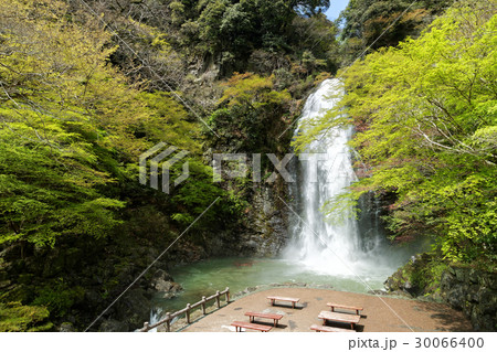 大阪府箕面公園 箕面の滝 30066400