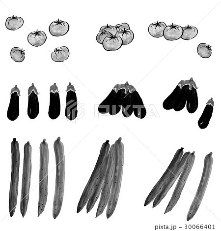 夏野菜 水墨画のイラスト素材