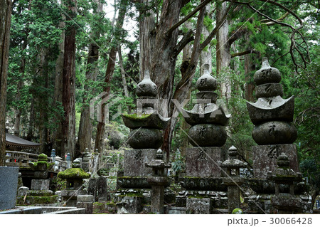 高野山奥の院参道風景 高野山奥の院参道風景 30066428