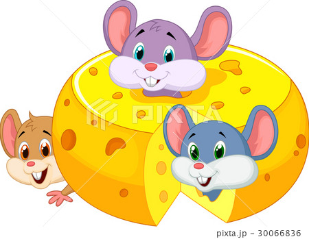 Cartoon mouse hiding inside cheddar cheese 30066836