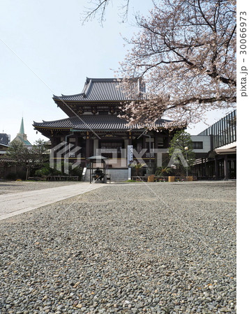 青山・善光寺 30066973