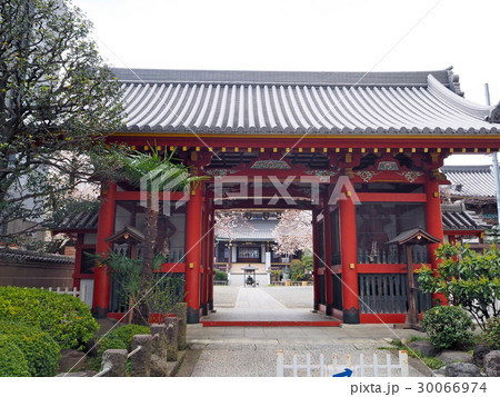 青山・善光寺 30066974