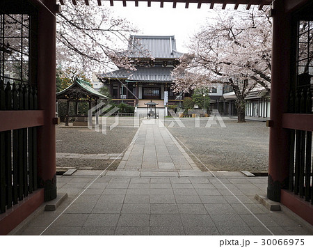 青山・善光寺 30066975