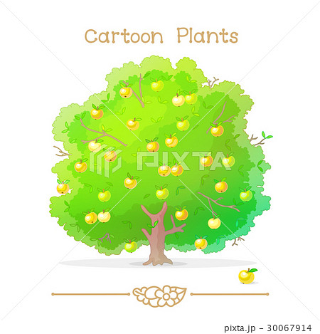 Autumn green tree. Apple tree full of ripe apples 30067914