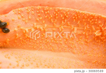 Papaya closeup - background 30069589